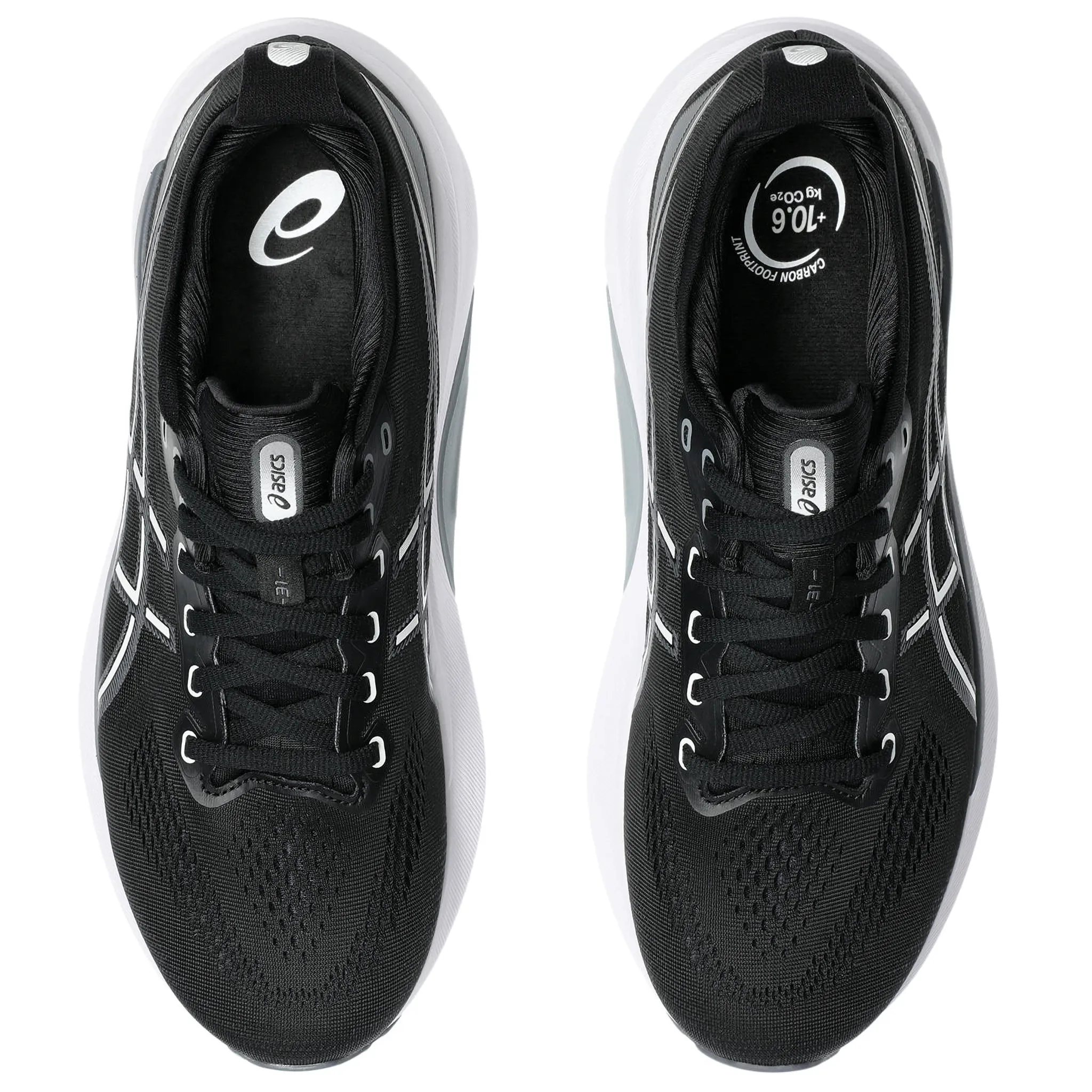 ASICS Gel-Kayano 31 2E Mens Running Shoes