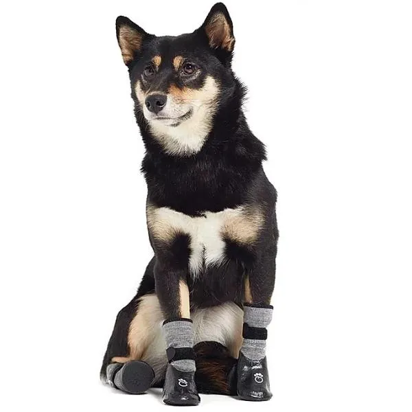 Dog Booties