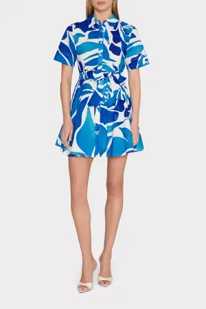 Dream Rose Poplin Button Down Dress