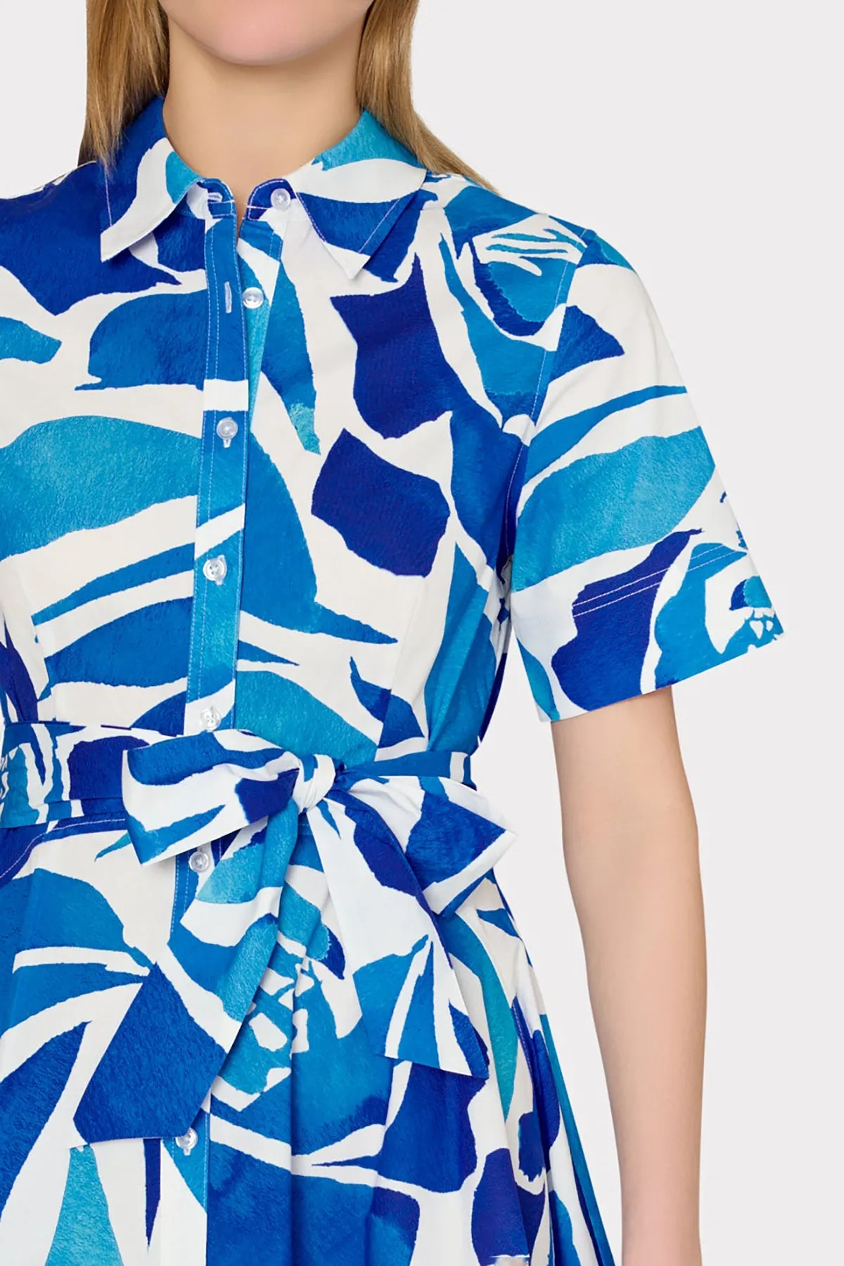 Dream Rose Poplin Button Down Dress