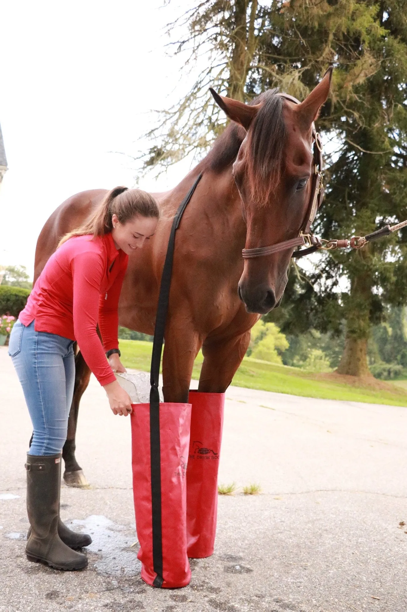 Equine Ice Soaking Boots