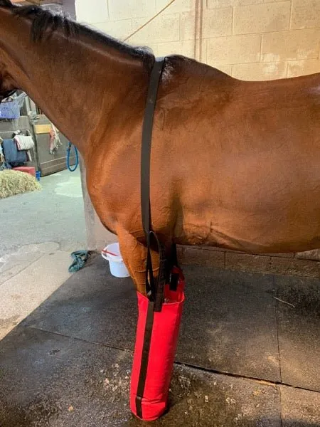 Equine Ice Soaking Boots